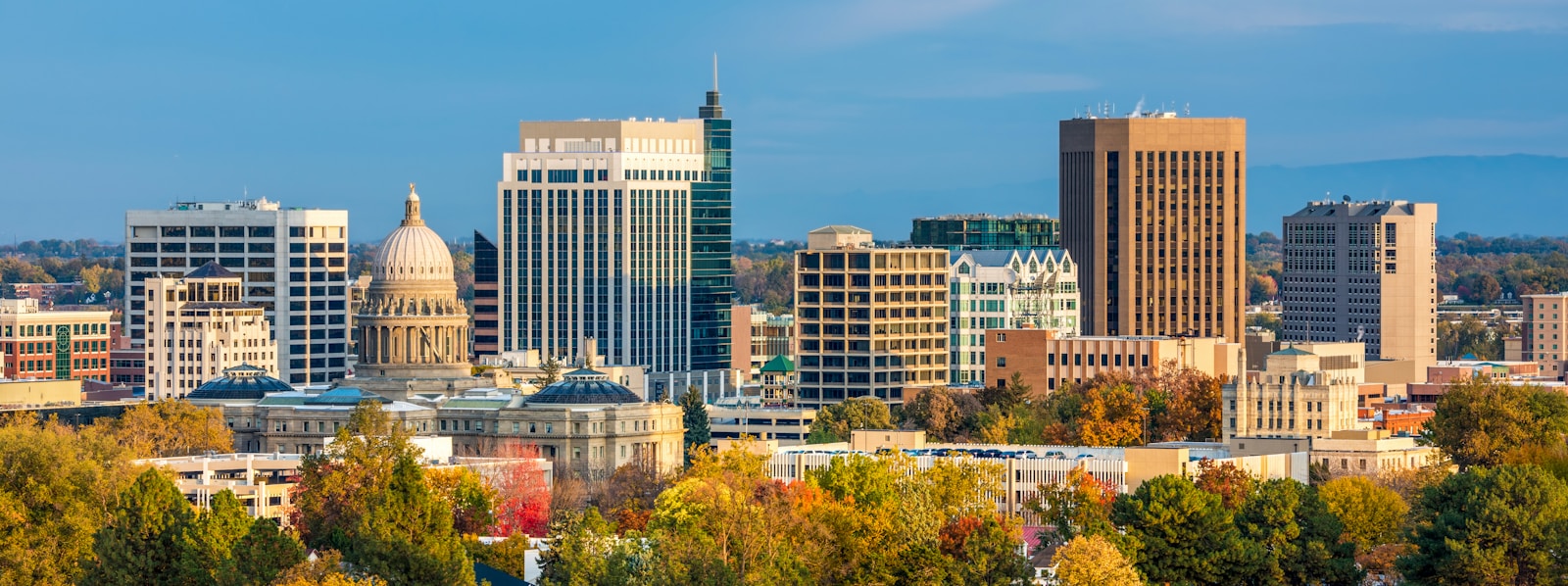 A view of a city with a lot of tall buildings